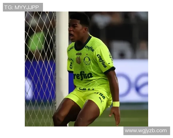 博塔弗戈主场迎战奎尔巴期待精彩对决与胜利之路