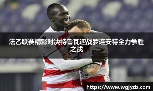 金彩汇